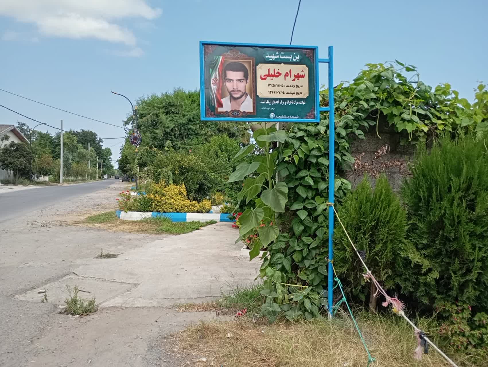 تصویر 2