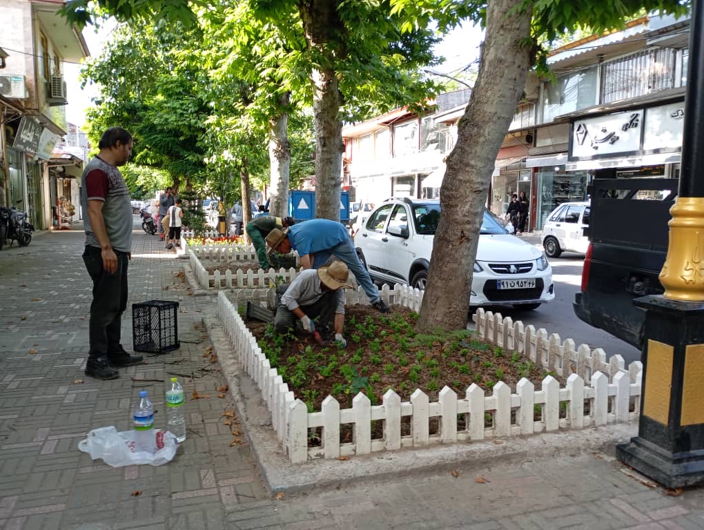 بذرپاشی و کاشت گل‌های فصلی توسط شهرداری خشکبیجار